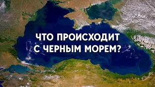 Что с Чёрным морем после подрыва Каховской ГЭС: Купаться опасно. Рыбу не ловят. Что ждет дальше?