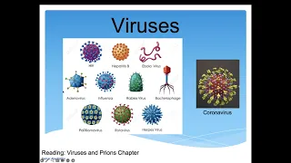 Virus Lecture Part 1/2 (updated)