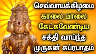 செவ்வாய்கிழமை அனைத்து வேண்டுதல்கள் உடனே நிறைவேறும் முருகன் பாடல் | Murugan Tamil Songs