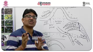 Hydrocarbon traps 1