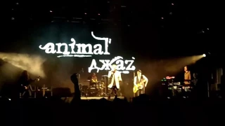 Animal Джаz - Три полоски 20.04.2017 YOTASPACE