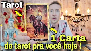 1 carta do tarot de hoje pra você ! Qual a energia de hoje pra você ? Tarot de hoje -rei do oraculo