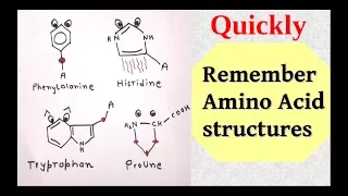 Memorize amino acids