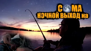 Ночная ловля СОМА | Ловля сома на ПЕЧЕНЬ | Ночная рыбалка
