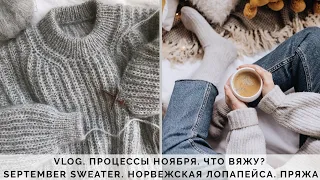 VLOG 62/2020 | ПРОЦЕССЫ НОЯБРЯ | SEPTEMBER SWEATER |  ЛОПАПЕЙСА | ПОКУПКИ НА ALIEXPRESS