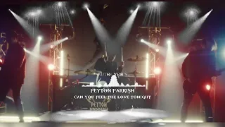 Peyton Parrish - Can You Feel The Love Tonight (goes rock) 1 hour loop