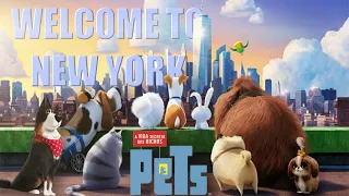 PETS / Welcome to New York - Taylor Swift ( Video Musical )