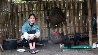 Duong is unwell - A strange girl happened to come to the farm and Duong was helped by her