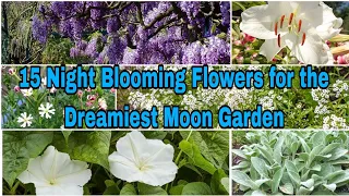 15 Night - Blooming Flowers for the Dreamiest Moon Garden