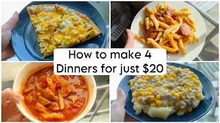 Making 4 Dinners for $20 from Dollar Tree | Budget Meals that Serve 2 to 3 | Dollar Tree Dinners