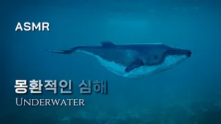 [ASMR] 몽환적인 심해 속 고래 소리 들으며 잠들기 🐋 Whale, Underwater, Sleep, Insomnia, Relaxing, Fantasy