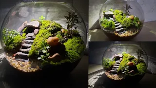 Terrarium | How to make terrarium | Moss terrarium | Fairy Garden