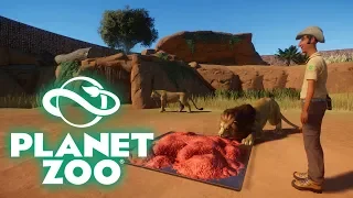 Das Löwen-Gehege! (Speedbuild) - Planet Zoo #05