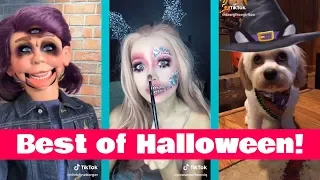 Best Of Halloween 2018 | Spooky TikTok Compilation