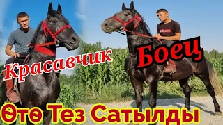 Боец⚡️Красавчик Тез💥Сатылды/чалмай жок