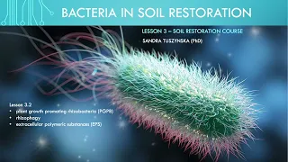 Lesson 3.3  - Plant Growth Promoting Rhizobacteria (PGPR)