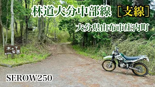 林道大分中部線［支線］ 大分県由布市庄内町　SEROW250