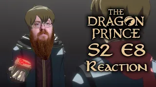 Fantastic imagery | The Book of Destiny - The Dragon Prince 2x8 Reaction