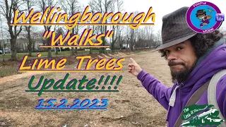 Wellingborough Walk Lime trees. My correction, a petition and a protest are set.