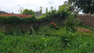 This Garden was one of the Worst Neglected Gardens we saw | CRAZY GARDEN!!!
