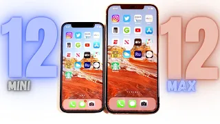 iPhone 12 Mini vs iPhone 12 Pro Max Speed Test!