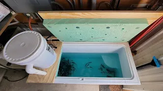 고급 온도 조절형 미끼 탱크 냉동고를 만드는 방법(단계별 제작)