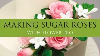 Make Perfect Sugar Roses Easy with Flower Pro Mould & Veiners