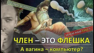 Член – это ФЛЕШКА! Вся правда - зачем нам СЕКС. Мнение Аналитика ДЧ.