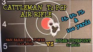 Cattleman T2 PCP .22 @ 25, 50 75 & 100 YARDS. H&N BARACUDA POWER 21.14 g  RUGER SUPERPOINTS 17g test