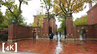 Walking in the Rain at Harvard in Boston, MA (Binaural City Sounds) [4K Rain Ambience ASMR]