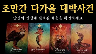 [타로] 당신에게 조만간 다가올 대박사건, 정말 축하드려요🙏