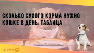 Сколько сухого корма нужно кошке в день: таблица