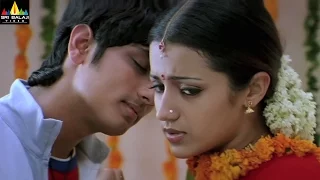 Nuvvostanante Nenoddantana Movie Scenes | Siddharth and Trisha Scene | Sri Balaji Video