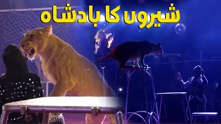 Lucky Irani Circus Mai Sheron Ka Badshah | Discover Pakistan TV