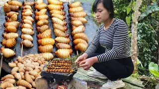 Cooking Coconut Worms On A Rock In Forest - Cooking Girl #41