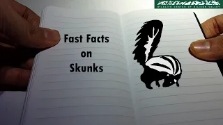 WCSV: Fast Facts on Skunks