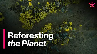 The Mexican Village Planting 5 Million Trees