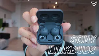 3 cool features of the Sony LinkBuds