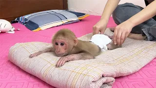 Bibi received Special Massage and Care from Mom