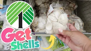 AMAZING Seashell Crafts | Dollar Tree Summer Crafts