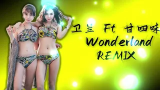 wonderland - 卫兰 & 24味 - dj remix