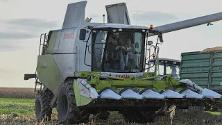 KUKURYDZA NA ZIARNO 2023✔CLAAS TUCANO 420☆CLAAS ARION 620☆KUBOTAM7132 ✔GOSPODARSTWO ROLNE HILDEBRAND