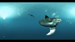 Shark 360