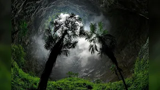 China has discovered a giant hole in the Earth with a forest at the bottom