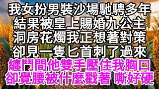 我女扮男裝沙場馳騁多年，結果被皇上賜婚九公主，洞房花燭我正想著對策，卻見一隻匕首刺了過來，纏鬥間他雙手壓住我胸口，卻覺腰被什麼戳著，嘶好硬 【美好人生】