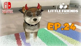 LITTLE FRIENDS: Dogs & Cats - Tante Novità | EP.24 [ITA]