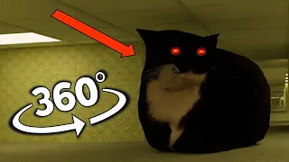 Maxwell the cat in the Backrooms But It's 360 degree video
