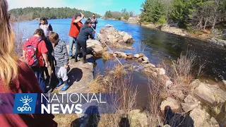 First Nation in Ontario is replenishing pickerel stocks in the local waterways | APTN News