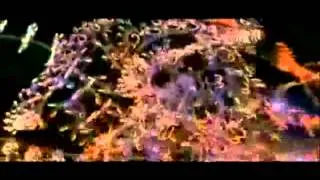 Hackers (1995) Music Video