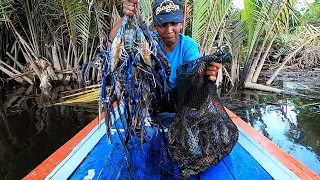 Spesial Edition.. Pancingku jadi rebutan udang sampai dapat sekarung langsung jual.